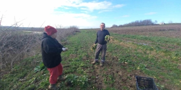 Toprağa emek, çocuklara gelecek: Karı-koca dört mevsim tarlada çalışıyor