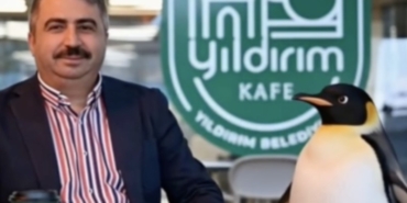 Penguen sürüden ayrılırken belediyeler boş durmadı