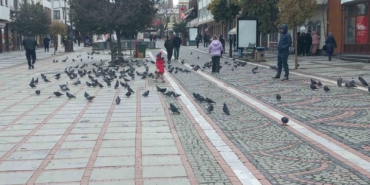 Edirne’de dondurucu soğuk: Edirneliler evde, Bulgarlar mağazalarda