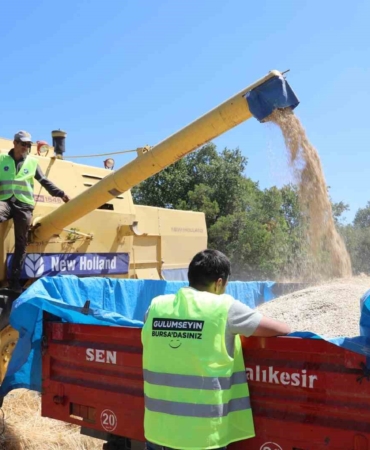 Bursa Büyükşehir, üreticiye nefes oluyor