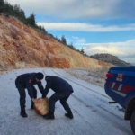 Harmankaya Tabiat Kanyonu’nun yolunu düşen kaya parçası jandarma tarafından kaldırıldı