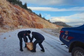 Harmankaya Tabiat Kanyonu’nun yolunu düşen kaya parçası jandarma tarafından kaldırıldı