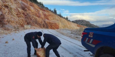 Harmankaya Tabiat Kanyonu’nun yolunu düşen kaya parçası jandarma tarafından kaldırıldı