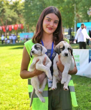 Bursa Büyükşehir Belediyesi patili dostların yanında