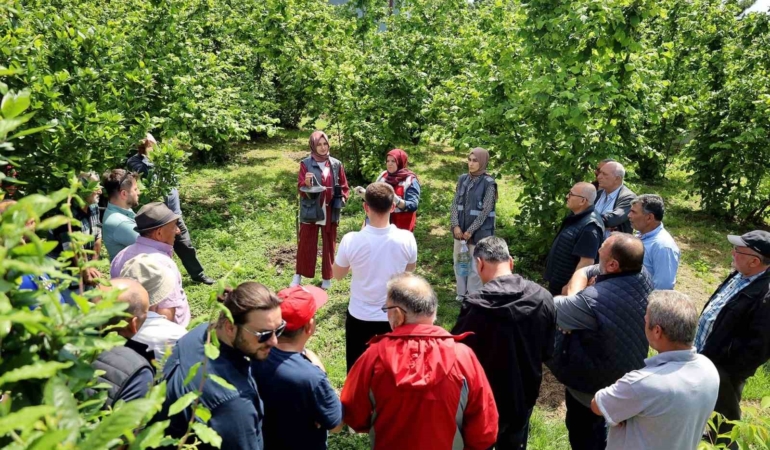 Büyükşehir’in 2025 tarım raporu: 810 noktada toprak analizi yapıldı