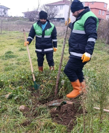 Başiskele’de yeşil alan çalışmaları devam ediyor