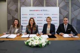 Rönesans’ın yenilenebilir enerjide kurulu gücü 3,5 katına çıktı