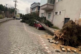 Yalova’da devasa vinçler böyle devrildi