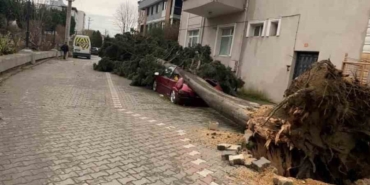Yalova’da devasa vinçler böyle devrildi