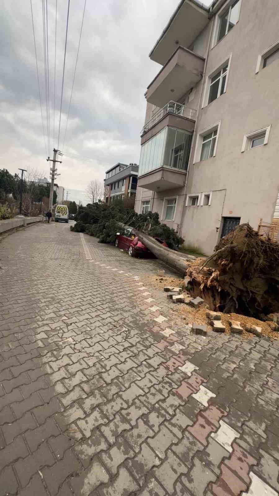 Yalova’da devasa vinçler böyle devrildi