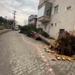 Yalova’da fırtına hayatı olumsuz etkiliyor
