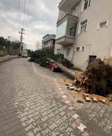 Yalova’da fırtına hayatı olumsuz etkiliyor