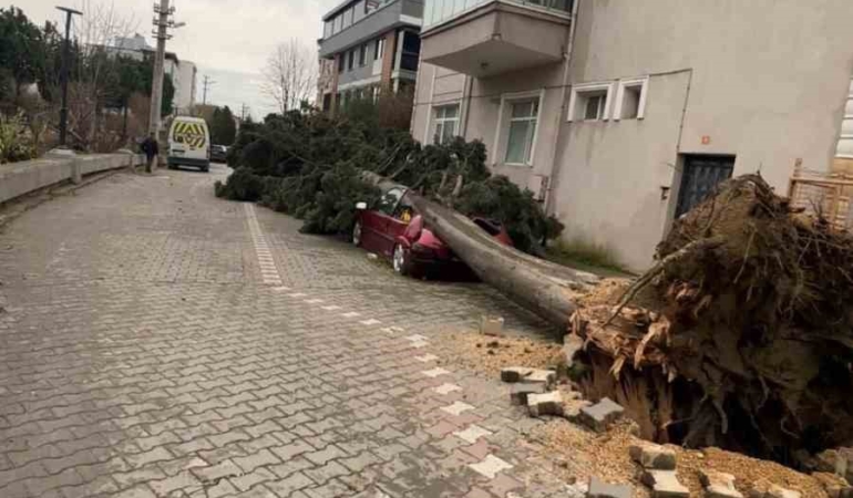 Yalova’da fırtına hayatı olumsuz etkiliyor