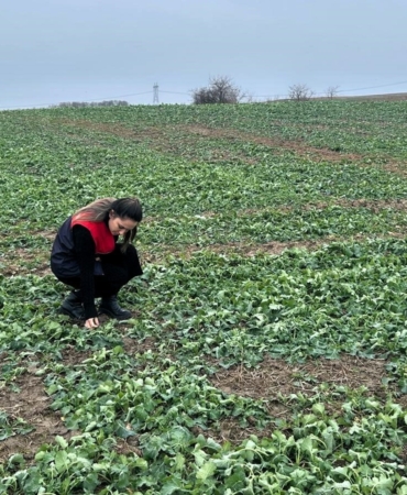 Pehlivanköy’de anıza ekim yapılan kanola tarlasında bitkinin fizyolojik gelişimi incelendi