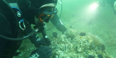 Marmara Denizi’ne kıyı kentlerin Belediye Başkanlarına dalış çağrı