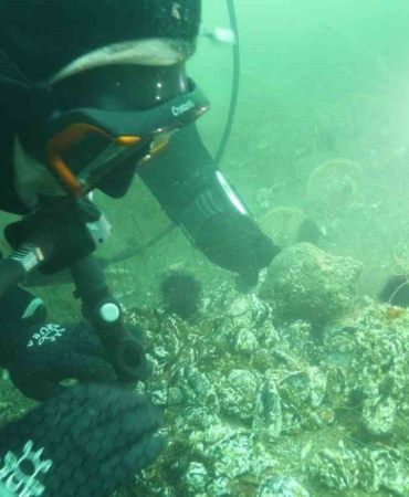 Marmara Denizi’ne kıyı kentlerin Belediye Başkanlarına dalış çağrı
