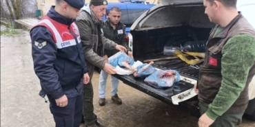 Kırklareli’de yasa dışı karaca avına ağır ceza
