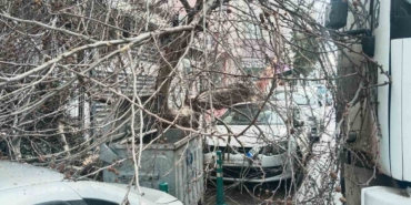 Kamyon çarptı, çınar ağacı araçların üzerine devrildi