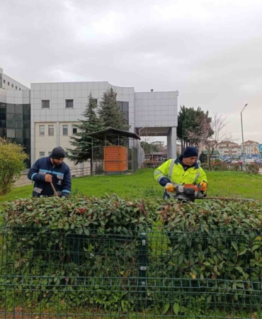 Hastane bahçelerinde budama ve bakım çalışması yapılıyor