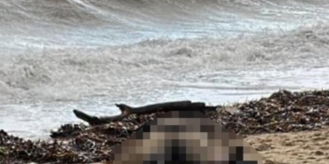 Kıyıya vuran kadın cesedi olayının sis perdesi aralanıyor