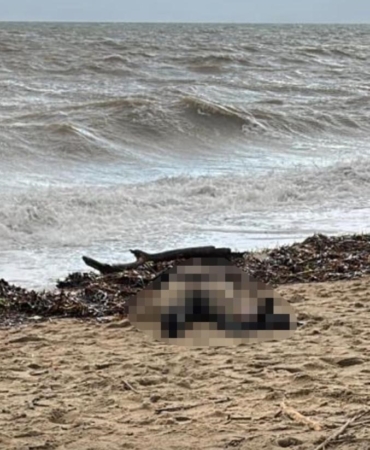 Kıyıya vuran kadın cesedi olayının sis perdesi aralanıyor