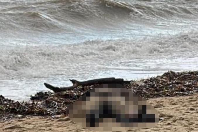 Kıyıya vuran kadın cesedi olayının sis perdesi aralanıyor