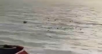 Denizi şehir çöplüğüne çevirdiler