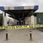 Tren istasyonundaki kadın cinayetine ilişkin yeni detaylar
