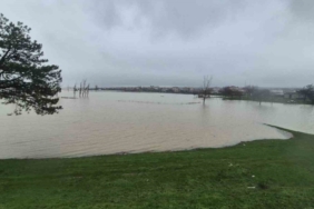 Meriç Nehri’nden taşan sular yaşam alanlarına kadar ulaştı