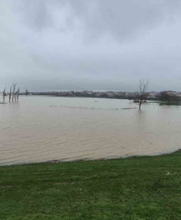 Meriç Nehri’nden taşan sular yaşam alanlarına kadar ulaştı