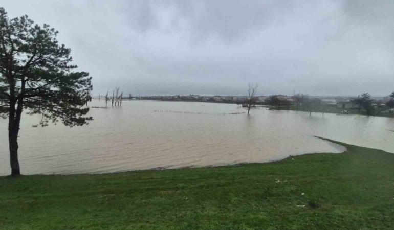 Meriç Nehri’nden taşan sular yaşam alanlarına kadar ulaştı