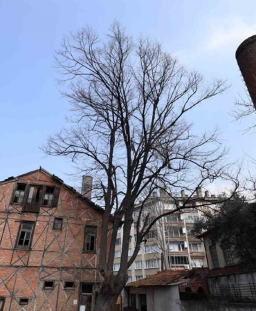 Osmangazi’de Roman Gal ve Arkeo Park projeleri Bursa’nın kültür hayatına kazandırılıyor