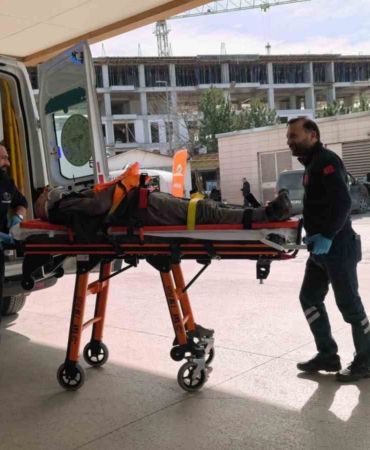 Ceviz ağacından düşen yaşlı adam ağır yaralandı