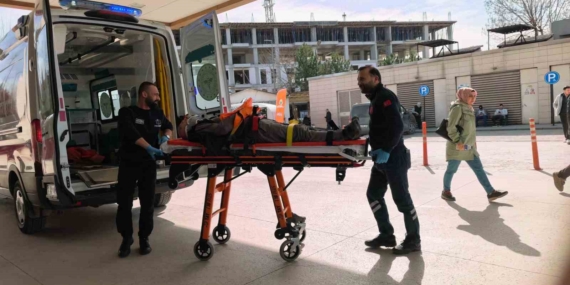 Ceviz ağacından düşen yaşlı adam ağır yaralandı