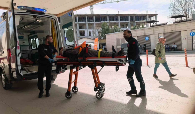 Ceviz ağacından düşen yaşlı adam ağır yaralandı