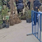 Bursa’da seyyar satıcılardan zabıtaya bıçaklı saldırı, 1 zabıta yaralandı