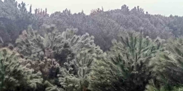 İstanbul’da yüksek kesimlerde kar yağışı başladı