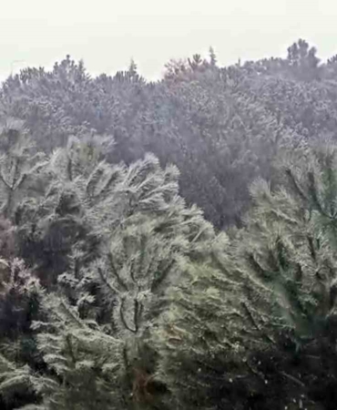 İstanbul’da yüksek kesimlerde kar yağışı başladı
