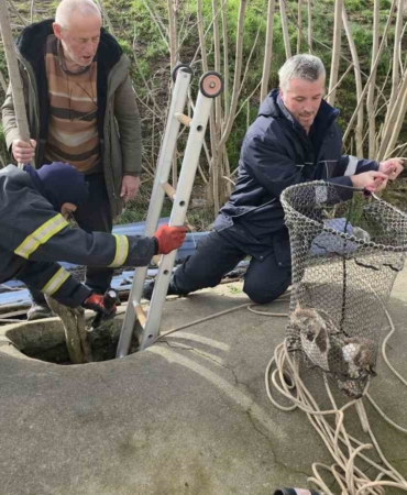 Su deposuna düşen yavru köpek 6 saat sonra kurtarıldı