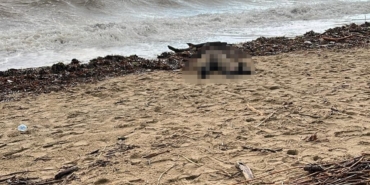 Sarımsaklı sahiline kadın cesedi vurdu