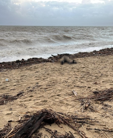 Sarımsaklı sahiline kadın cesedi vurdu