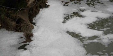 Köpüren dereden ağır kokular yükseliyor