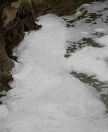 Köpüren dereden ağır kokular yükseliyor
