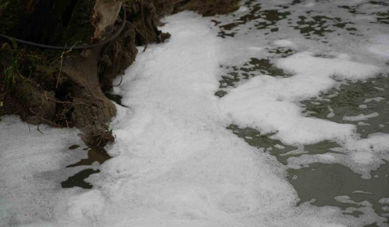 Köpüren dereden ağır kokular yükseliyor