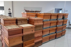 Arıcılık kursiyerlerine kovan desteği