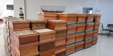 Arıcılık kursiyerlerine kovan desteği