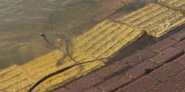 Yaren leyleğin köyü de yükselen göl sularından etkilendi