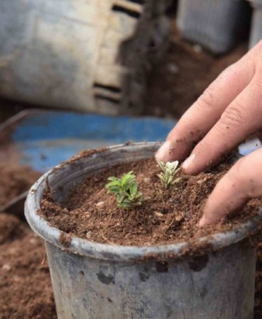 Bilecik’te park ve bahçelerden bahara hazırlık