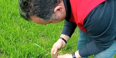 Lüleburgaz’da kanola ve buğday ekili alanlarda teknik kontroller yapıldı