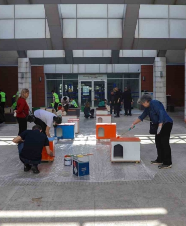 Can dostlara sıcak yuva